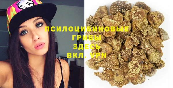 дживик Медногорск
